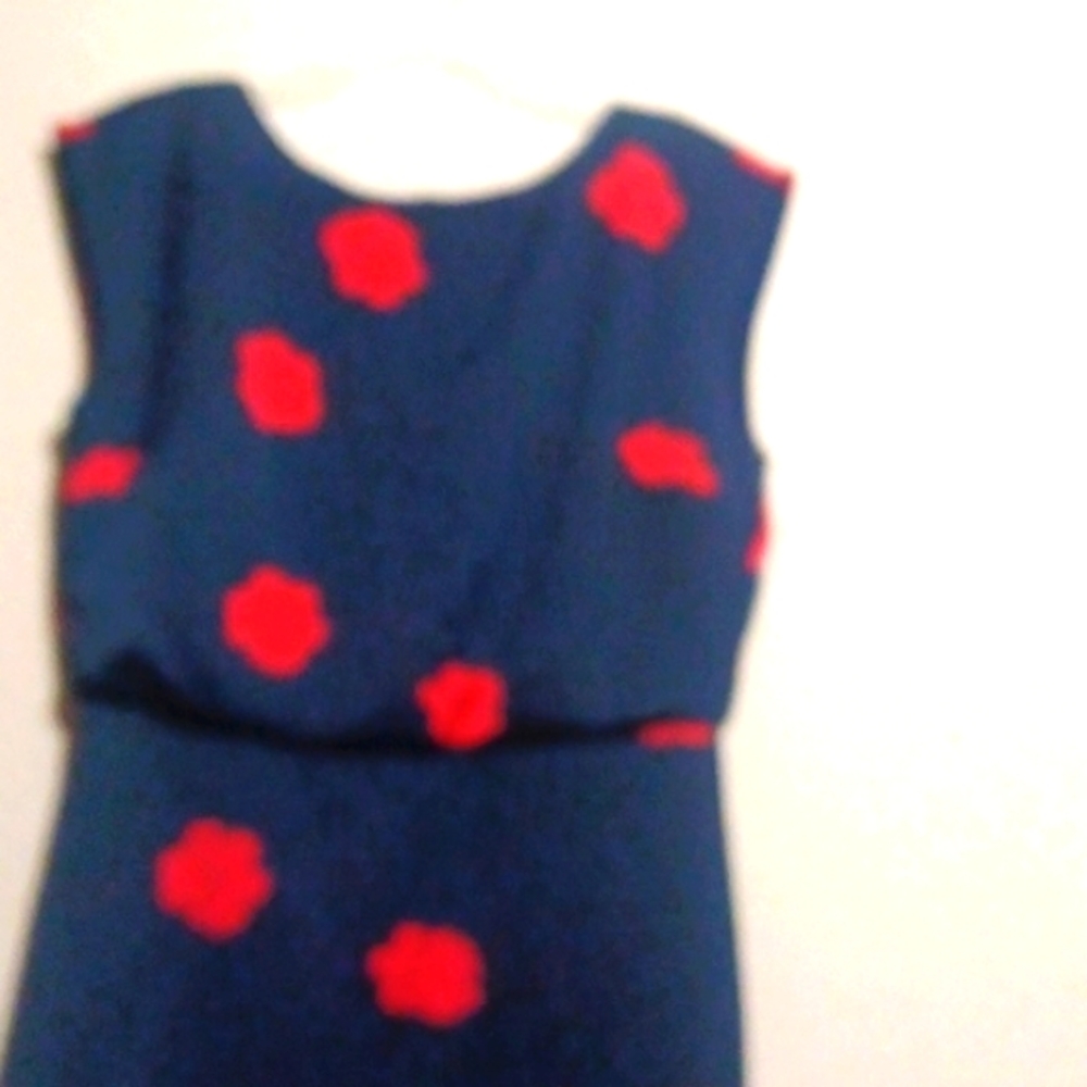 Banana Republic Dress 👗